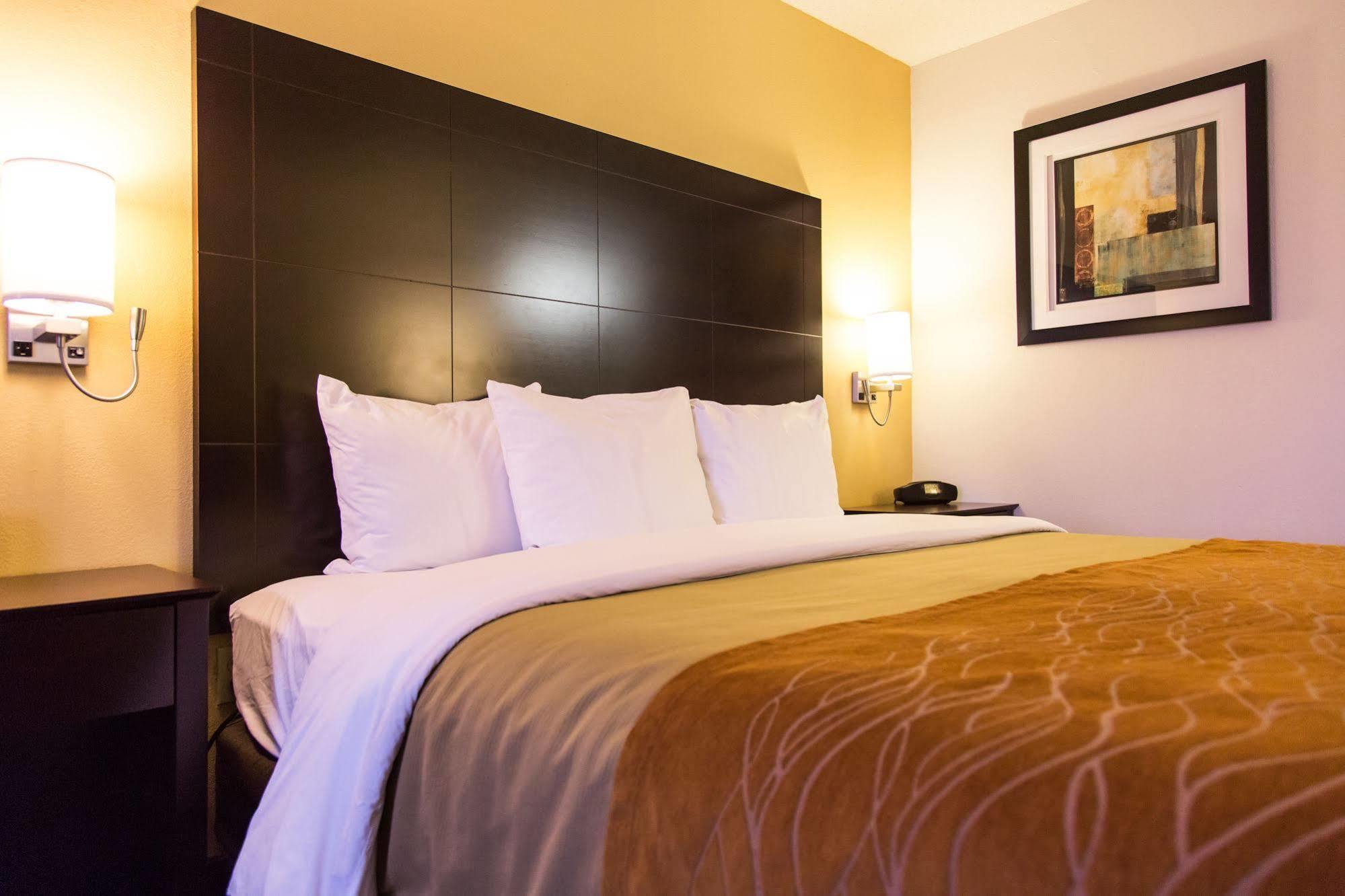 Comfort & Hotel Paw Paw