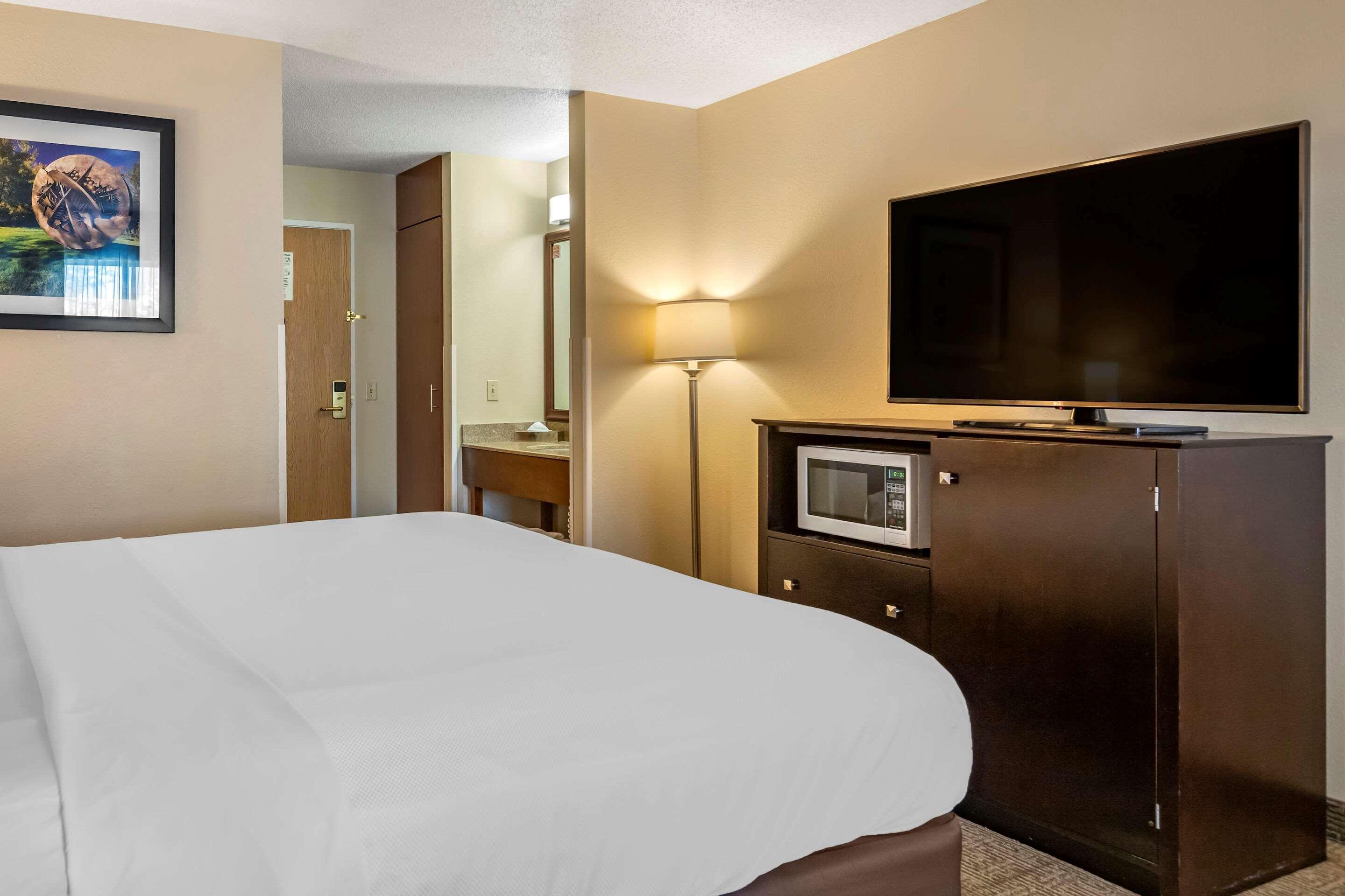 Hotel Comfort & Paw Paw