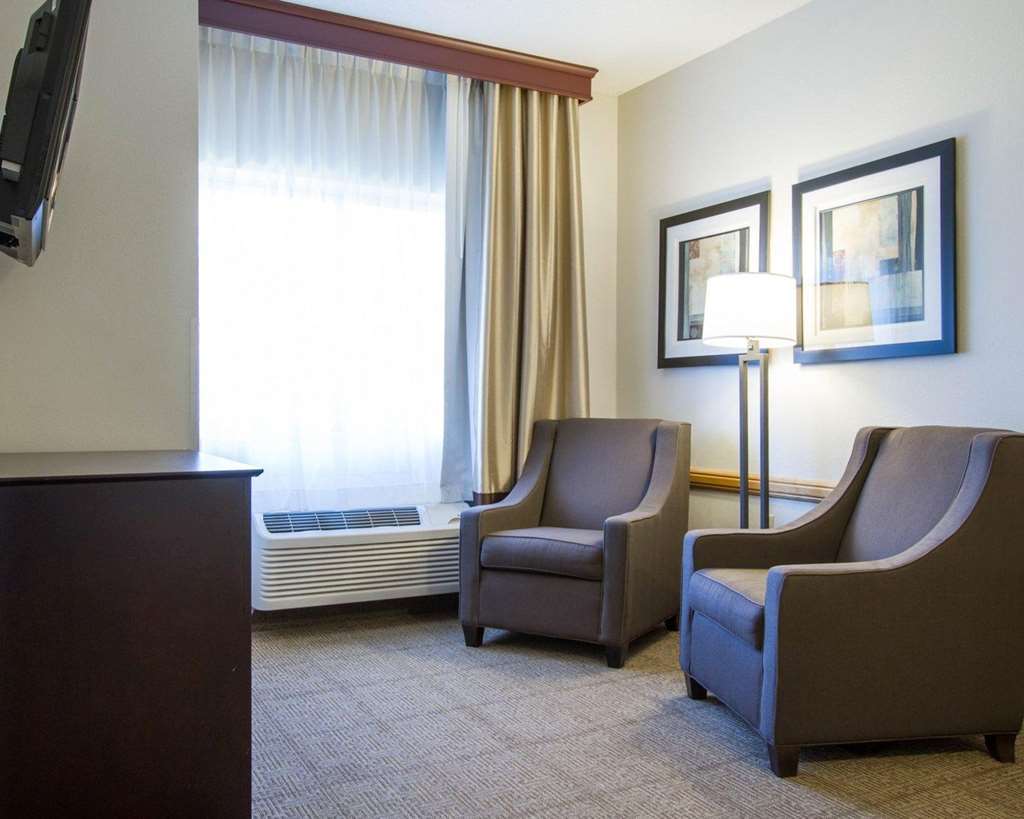 Hotel Comfort & Paw Paw